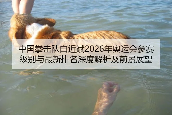 中国拳击队白近斌2026年奥运会参赛级别与最新排名深度解析及前景展望