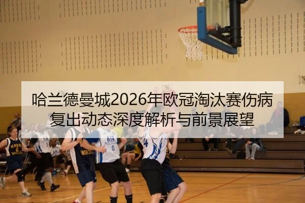 ha-lan-de-man-cheng-nian-ou-guan-tao-tai-sai-shang-bing-fu-chu-dong-tai-shen-du-jie-xi-yu-qian-jing-zhan-wang-2-107.jpg